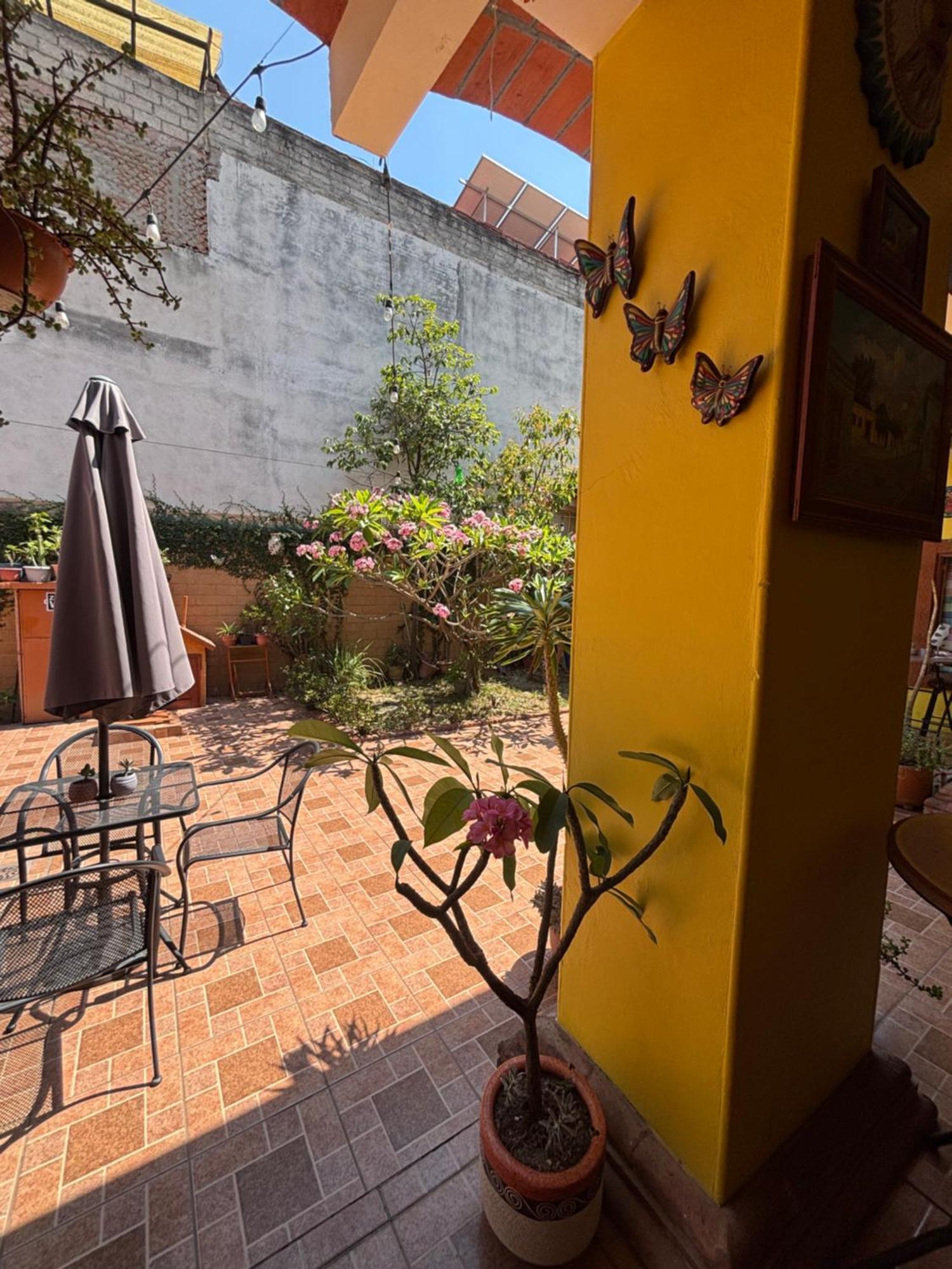 Hotel Posada "Mi Rosita" Oaxaca Luaran gambar